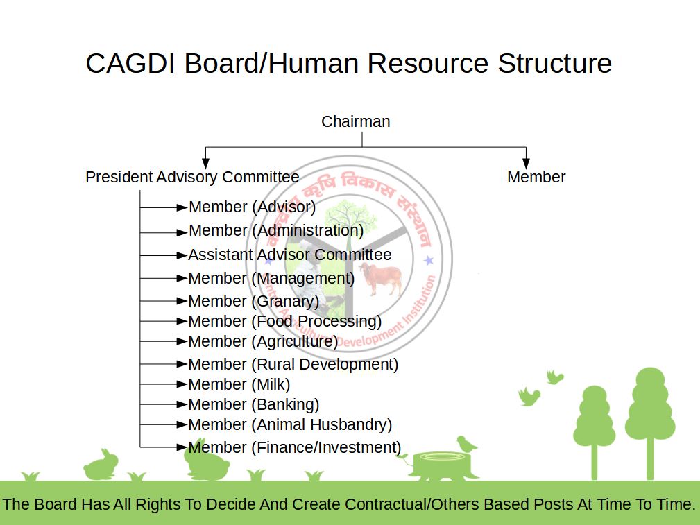 CAGDI Board/Human Resource Structure