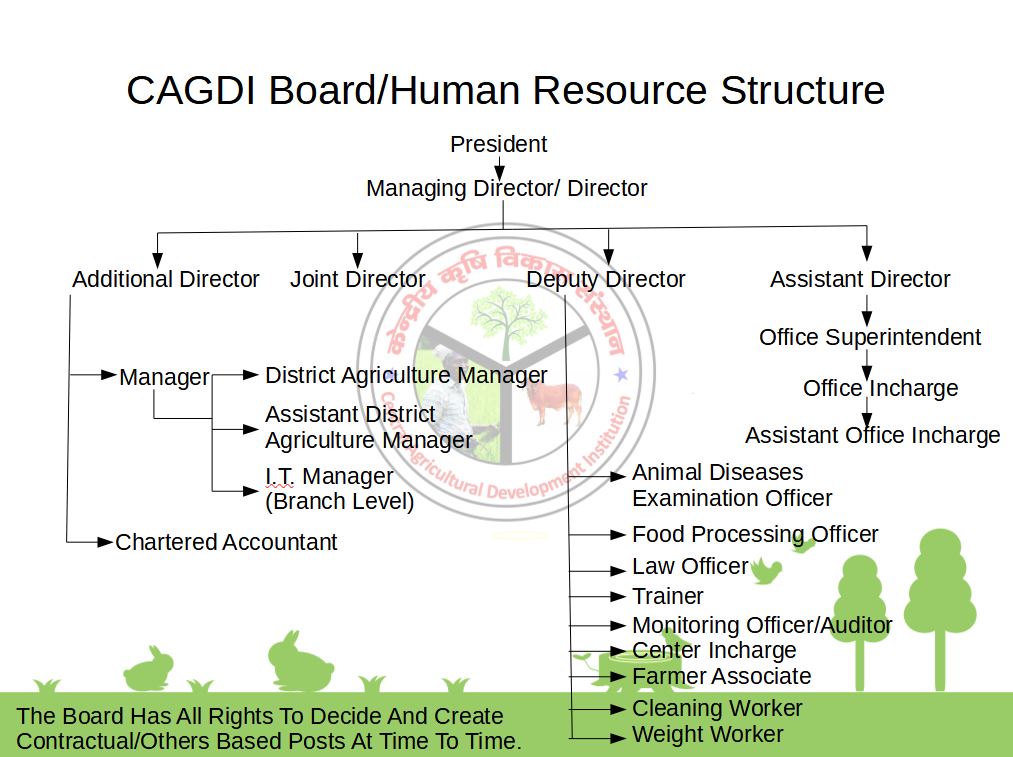 CAGDI Board/Human Resource Structure