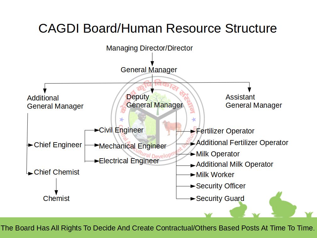CAGDI Board/Human Resource Structure