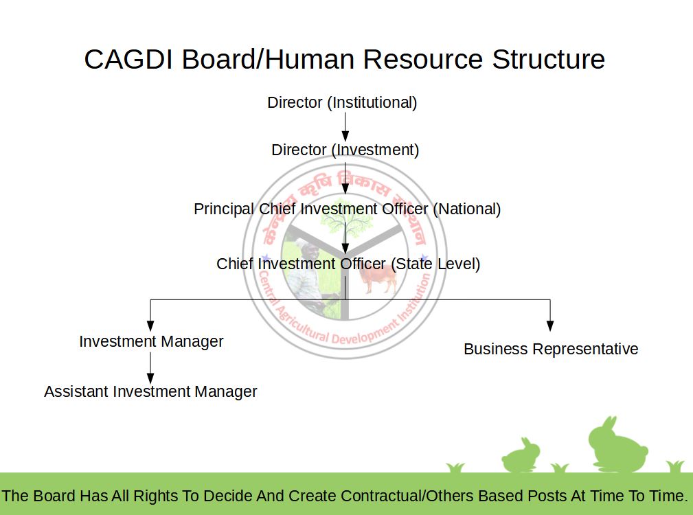 CAGDI Board/Human Resource Structure