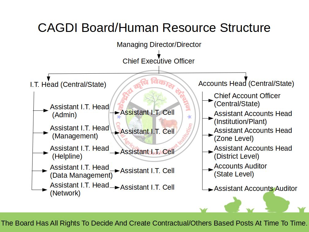 CAGDI Board/Human Resource Structure