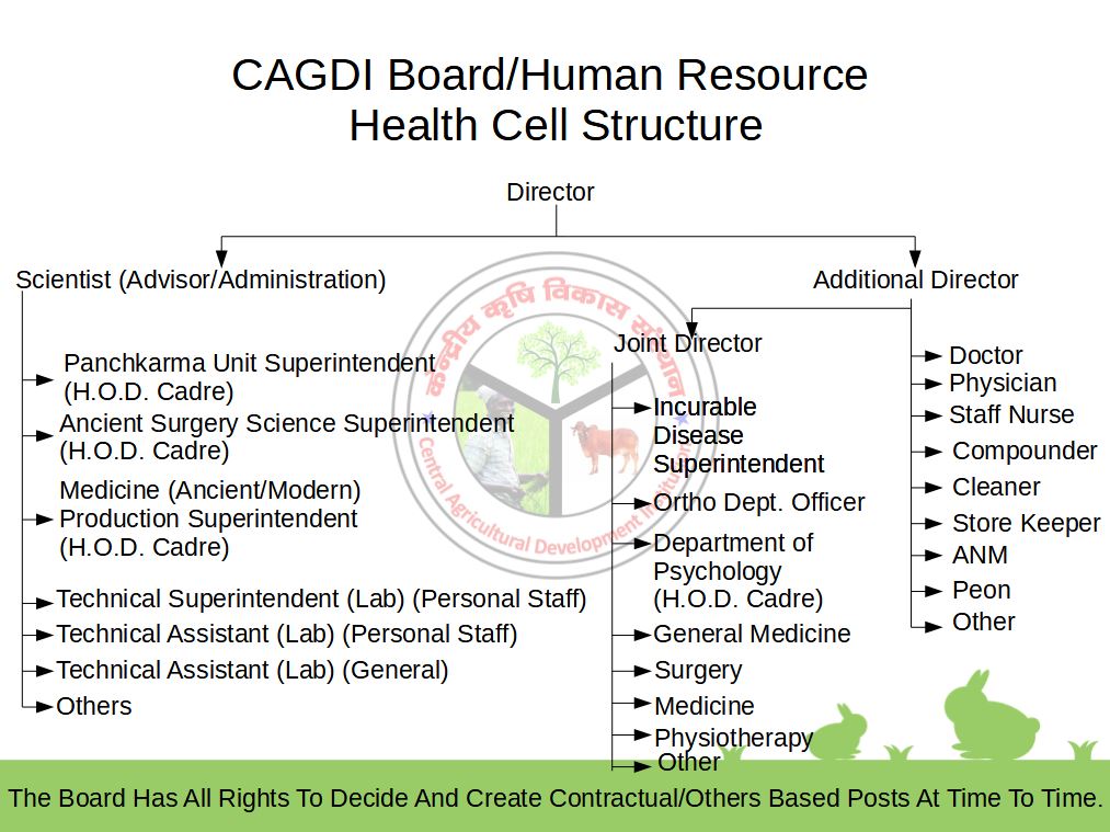 CAGDI Board/Human Resource Health Cell Structure